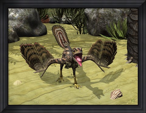 Framed Archaeopteryx Depicted near the Shore of the Tethys Sea Print