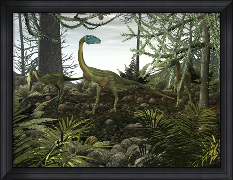 Framed Coelophysis Dinosaurs Walk Amongst a Forest Print