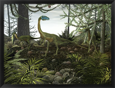 Framed Coelophysis Dinosaurs Walk Amongst a Forest Print