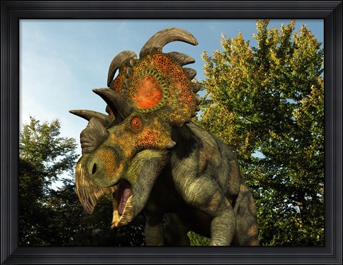 Framed Albertaceratops Wanders a Cretaceous Forest Print