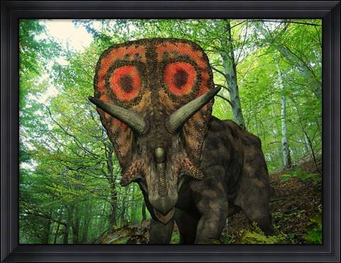 Framed Colorful Torosaurus Wanders a Cretaceous Forest Print