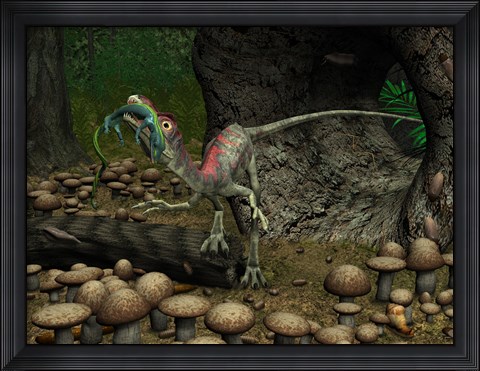 Framed Compsognathus prepares to swallow a small lizard Print