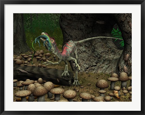 Framed Compsognathus prepares to swallow a small lizard Print