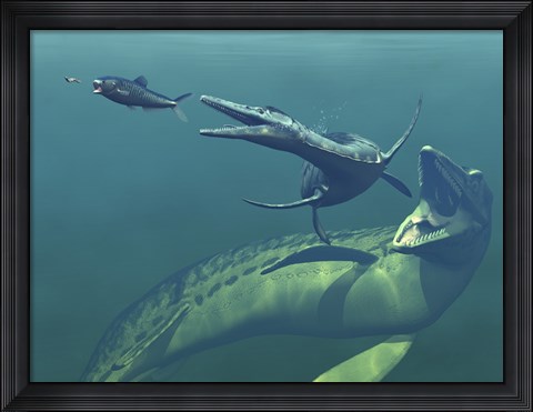 Framed Marine Predators of the Cretaceous Period Print