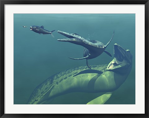 Framed Marine Predators of the Cretaceous Period Print