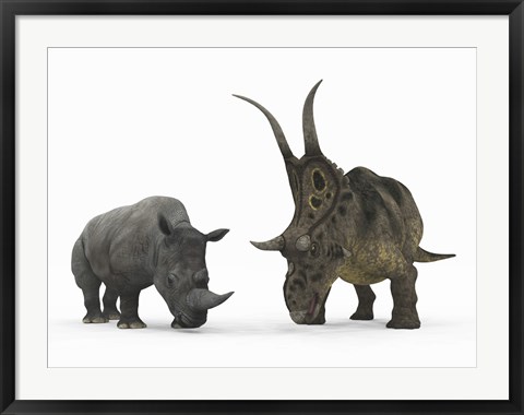 Framed Adult Diabloceratops Compared to a Modern adult White Rhinoceros Print