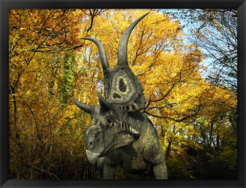 Framed Diabloceratops Wanders a Cretaceous Forest Print