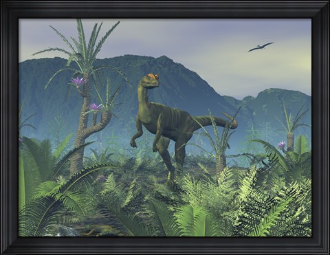 Framed Colorful Adult Male Dilophosaurus Explores a Hilltop Print