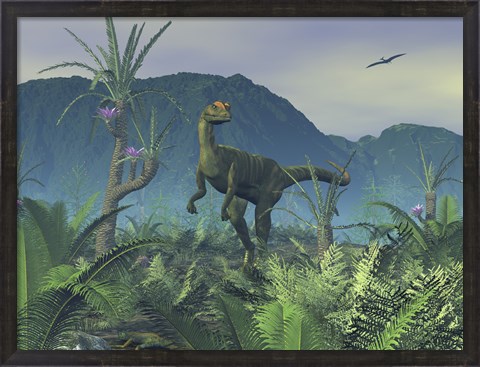 Framed Colorful Adult Male Dilophosaurus Explores a Hilltop Print