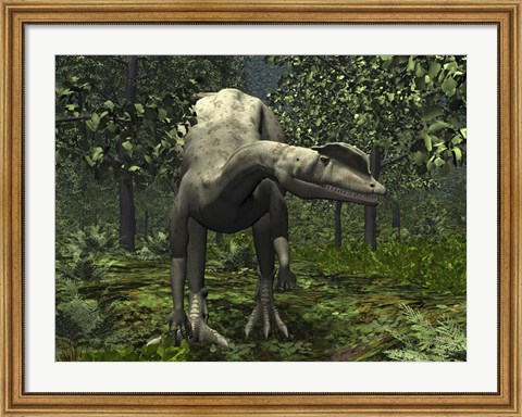Framed Dilophosaurus Amidst Ginkgo Trees Print