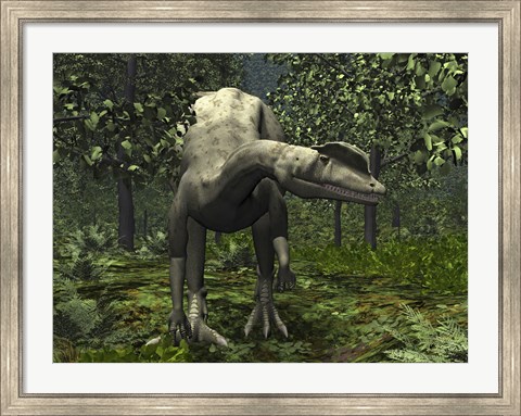 Framed Dilophosaurus Amidst Ginkgo Trees Print