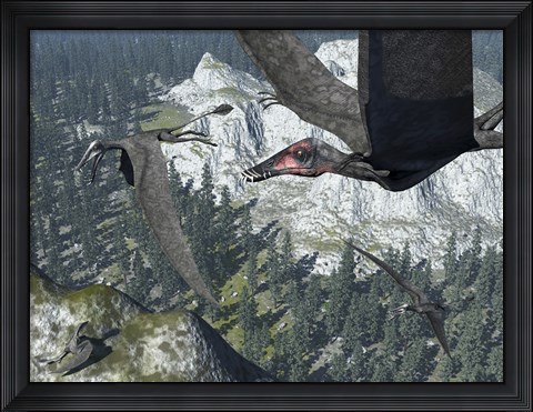 Framed Flock of Dorygnathus Print