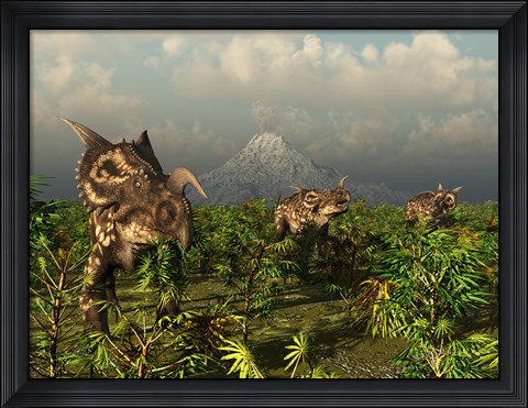 Framed Herd of Plant-Eating Einiosaurus Roam the Plains Print