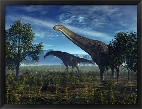 Framed Isisaurus Dinosaurs Wander Lush Plains Print