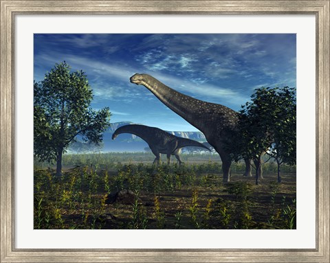 Framed Isisaurus Dinosaurs Wander Lush Plains Print
