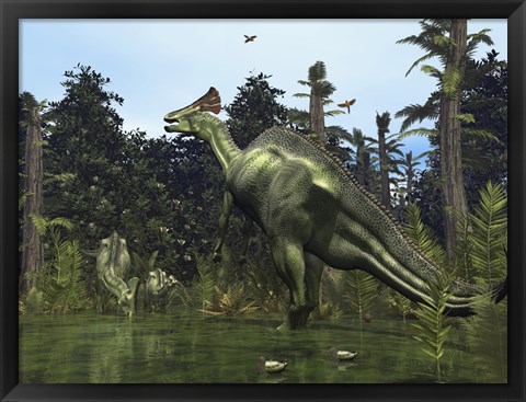 Framed Lambeosaurus Rears onto its Hind Legs in Response to a Threat Print