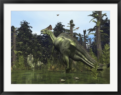 Framed Lambeosaurus Rears onto its Hind Legs in Response to a Threat Print