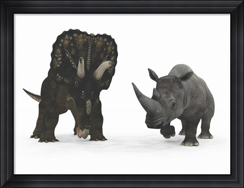 Framed Adult Nedoceratops Compared to a Modern Adult White Rhinoceros Print