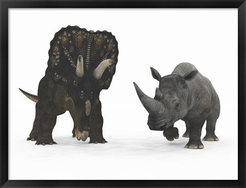 Framed Adult Nedoceratops Compared to a Modern Adult White Rhinoceros Print