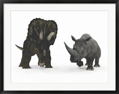 Framed Adult Nedoceratops Compared to a Modern Adult White Rhinoceros Print