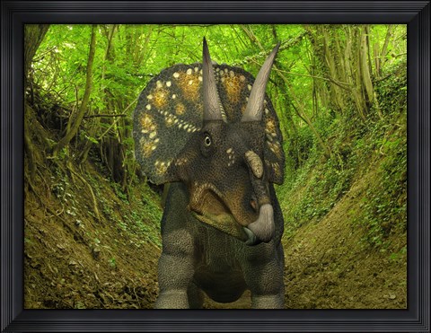 Framed Nedoceratops Wanders a Cretaceous Forest Print