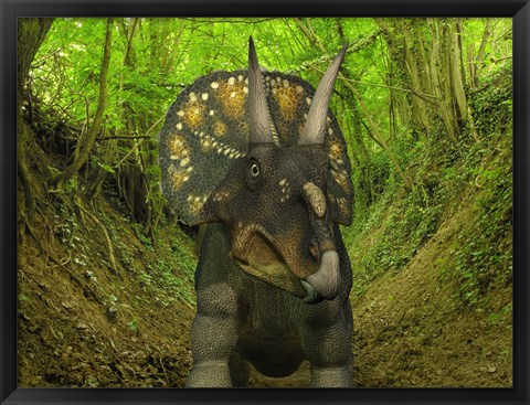 Framed Nedoceratops Wanders a Cretaceous Forest Print