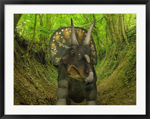 Framed Nedoceratops Wanders a Cretaceous Forest Print