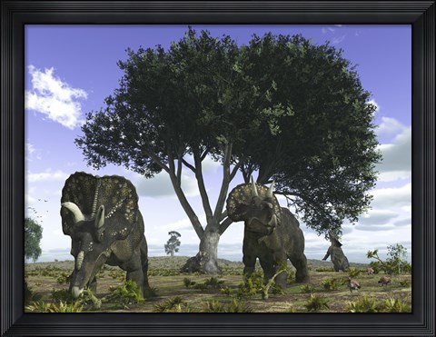 Framed Nedoceratops Graze Beneath a Giant Oak Tree Print