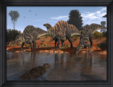 Framed Ouranosaurus Drink at a Watering Hole while a Sarcosuchus Floats nearby Print