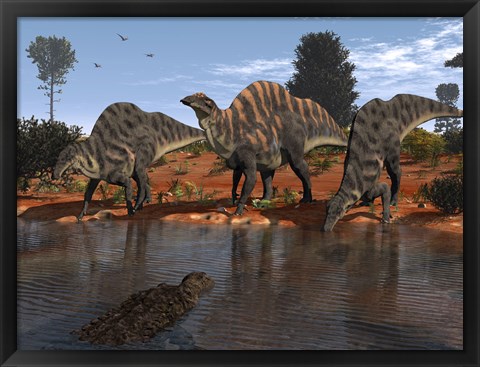 Framed Ouranosaurus Drink at a Watering Hole while a Sarcosuchus Floats nearby Print