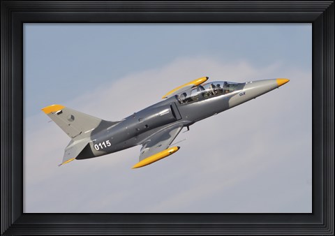 Framed Czech Air Force AERO L-39C Albatros Jet Trainer Print