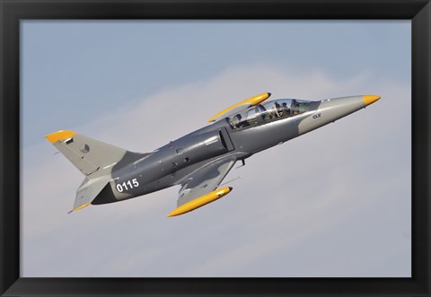 Framed Czech Air Force AERO L-39C Albatros Jet Trainer Print