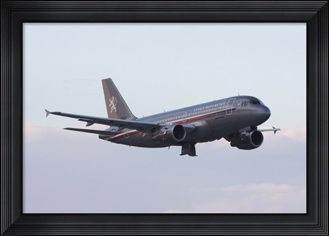 Framed Czech Air Force Flagship Airbus A319 Print