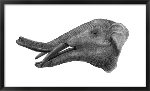 Framed Pencil Drawing of Gomphotherium Print