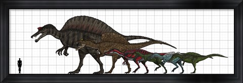 Framed Spinosauridae Size chart Print