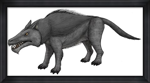 Framed Andrewsarchus, an Ungulate Mammal from the Eocene Epoch Print