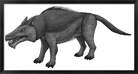 Framed Andrewsarchus, an Ungulate Mammal from the Eocene Epoch Print