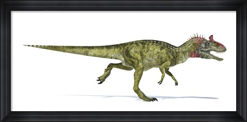 Framed Cryolophosaurus Dinosaur on White Background Print