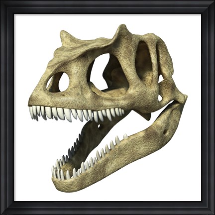 Framed 3D Rendering of an Allosaurus Skull Print