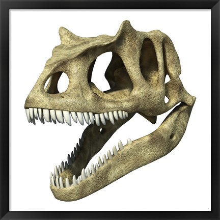 Framed 3D Rendering of an Allosaurus Skull Print