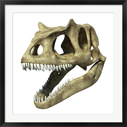 Framed 3D Rendering of an Allosaurus Skull Print