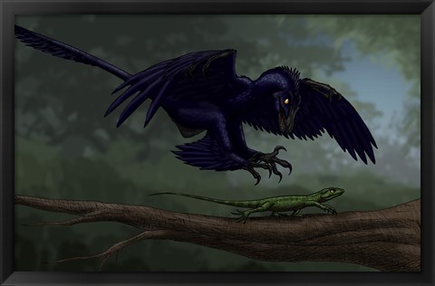 Framed Microraptor Hunting a Small Lizard on a Tree Branch Print