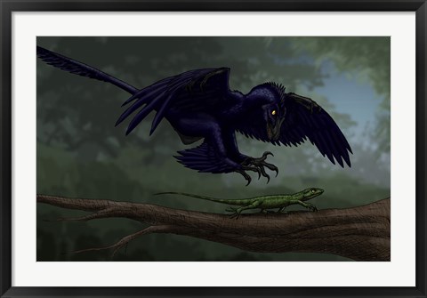 Framed Microraptor Hunting a Small Lizard on a Tree Branch Print