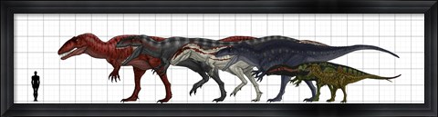 Framed Carcharodontosauridae Size Chart Print