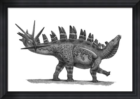 Framed Pencil Drawing of Chungkingosaurus Jiangbeiensis Print