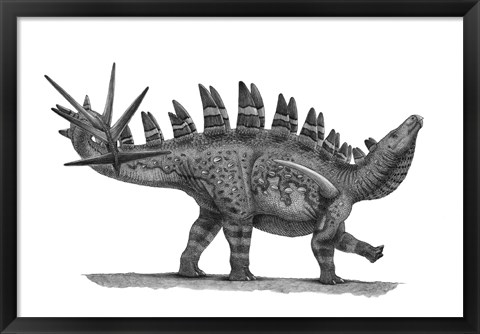 Framed Pencil Drawing of Chungkingosaurus Jiangbeiensis Print