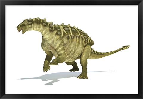 Framed Talarurus Dinosaur on White background Print