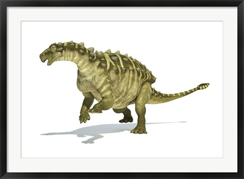 Framed Talarurus Dinosaur on White background Print