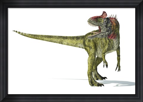 Framed Cryolophosaurus Dinosaur Print