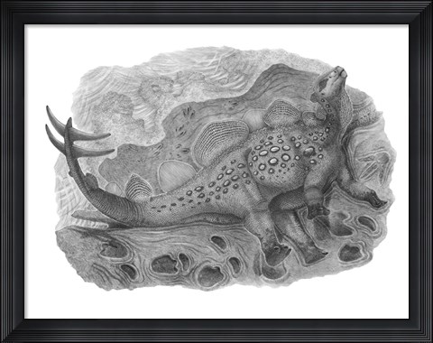 Framed Pencil Drawing of Hesperosaurus Mjosi Print